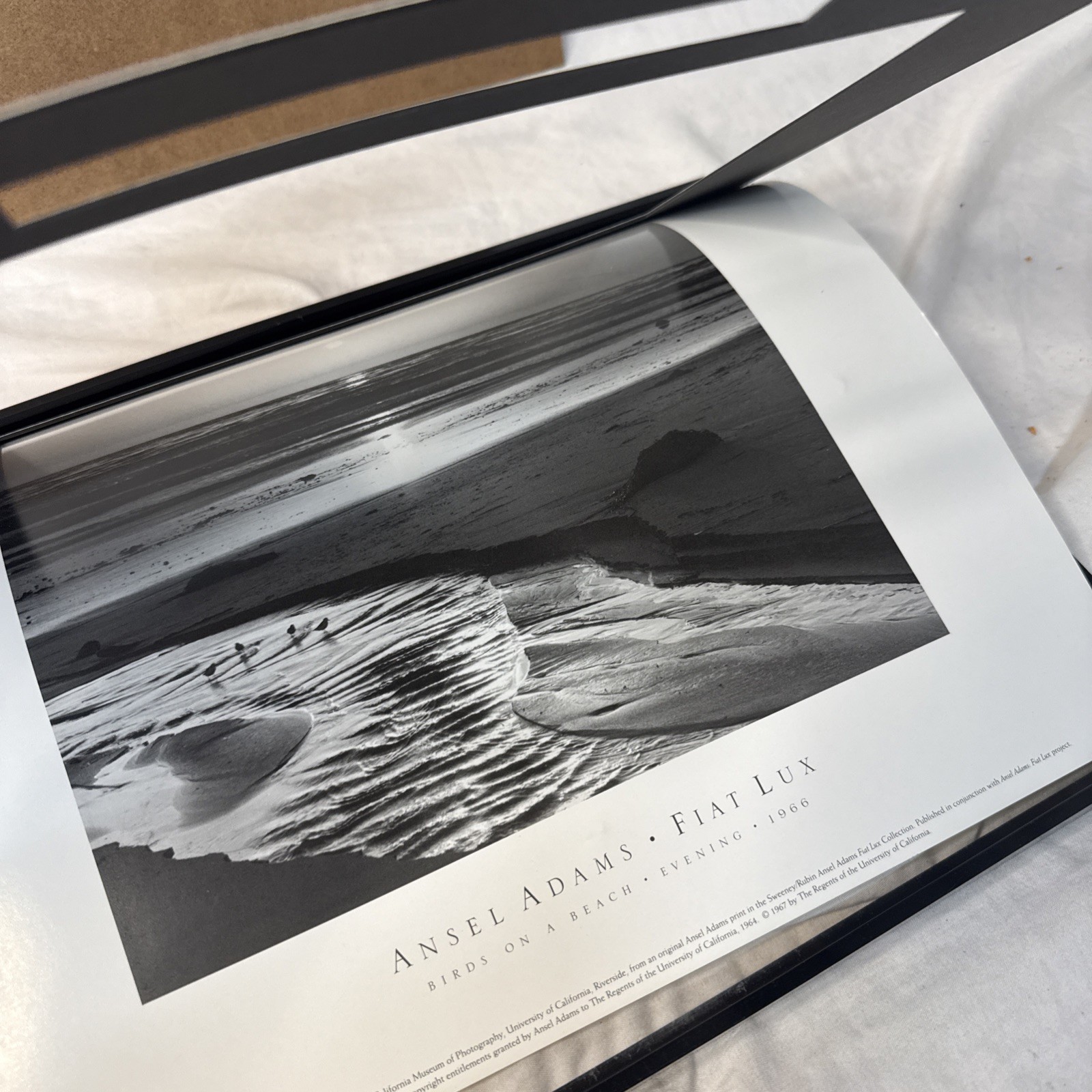 Ansel Adams Birds on a Beach Evening Framed Framed 1966 Photo 12×14 Wall Art VTG