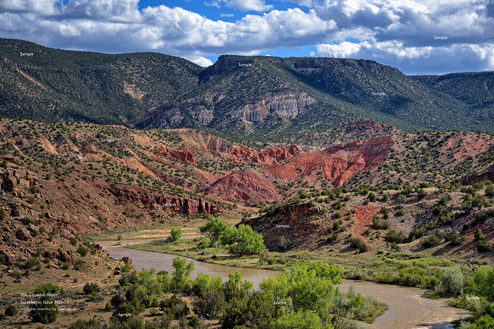 Rio Chama River #2 Northern New Mexico Red Rock Photo Poster Print NM02
