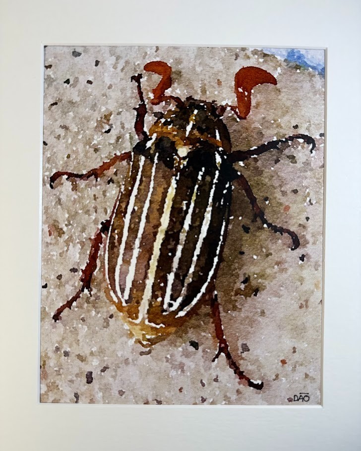 Beetle Digital Watercolor Original Photograph 8 X 10 Matted To 11 X 14 – Signed