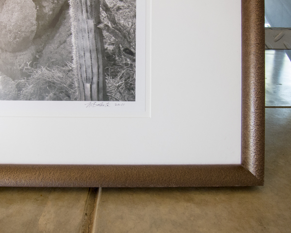 Photography Art Print of Arizona Desert Landscape in Black and White with Frame