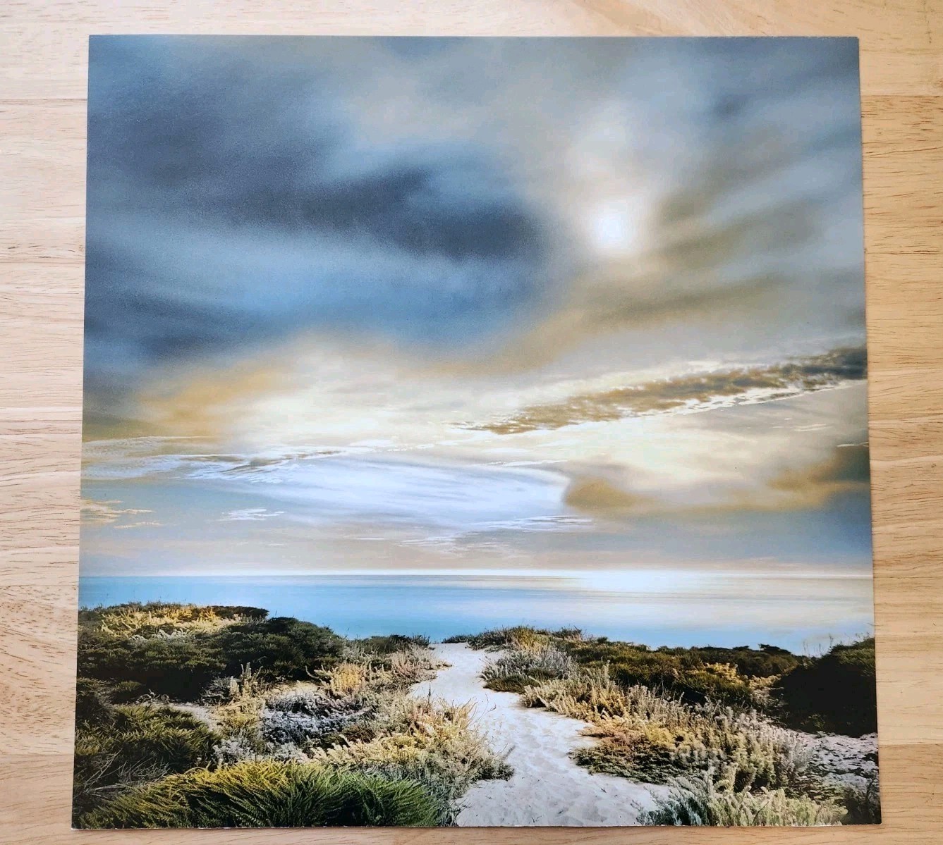 ​Professional Coastal Photography Prints (2) Seascape 12 X 12 Beach Life