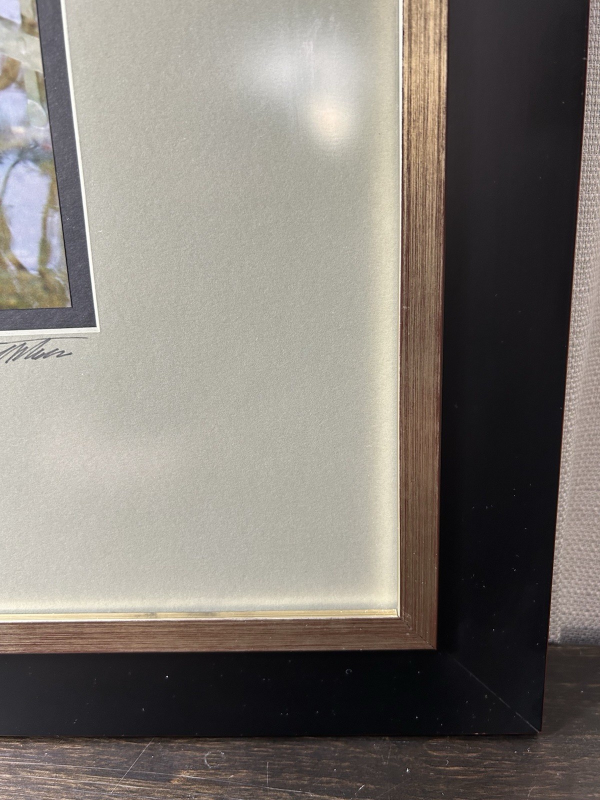 Original Photograph Black Cat Koi Pond Signed Framed Matted Truguard UV Guard