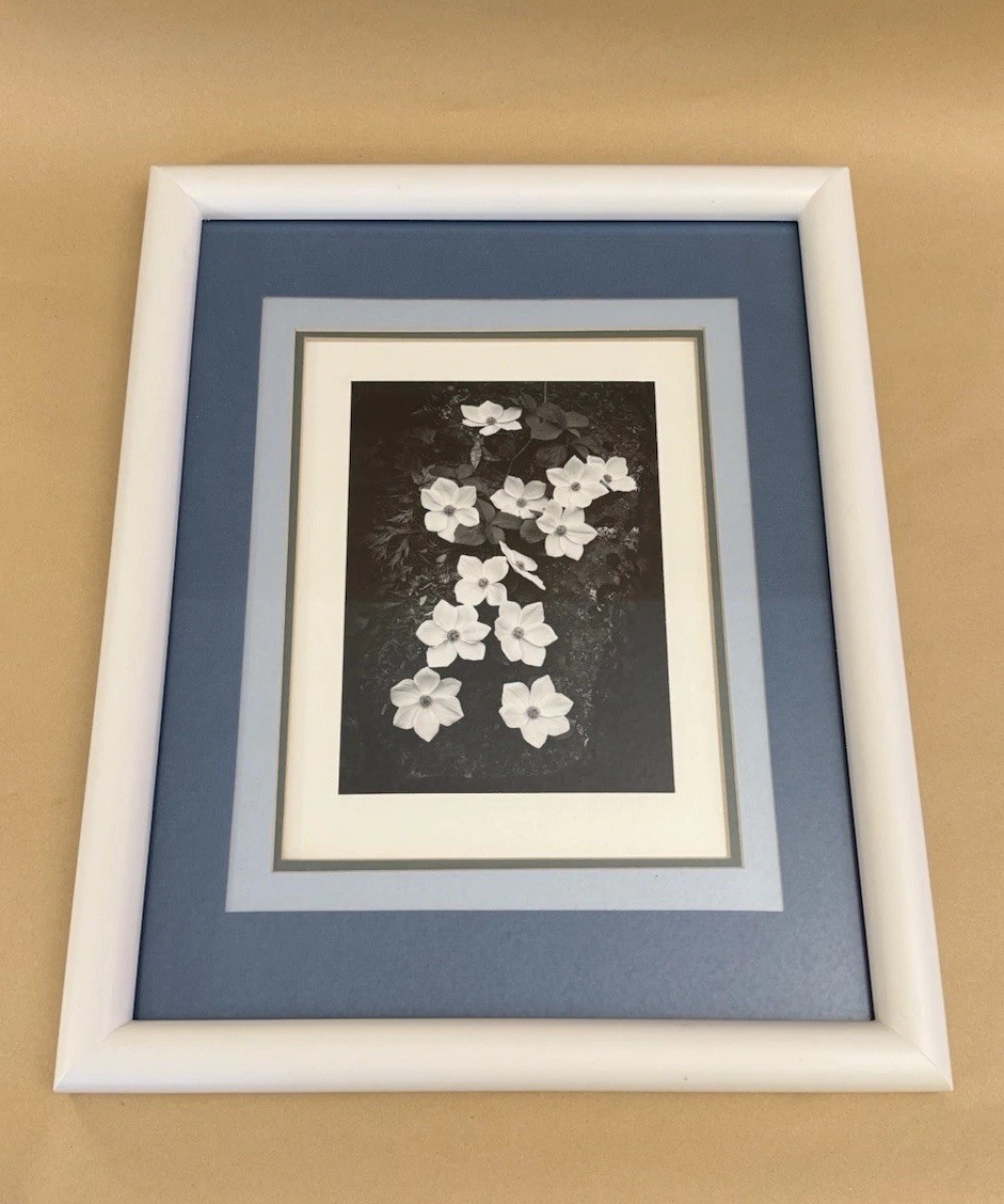 ANSEL ADAMS Dogwood Yosemite Special Edition Gelatin Silver Print Matted Only