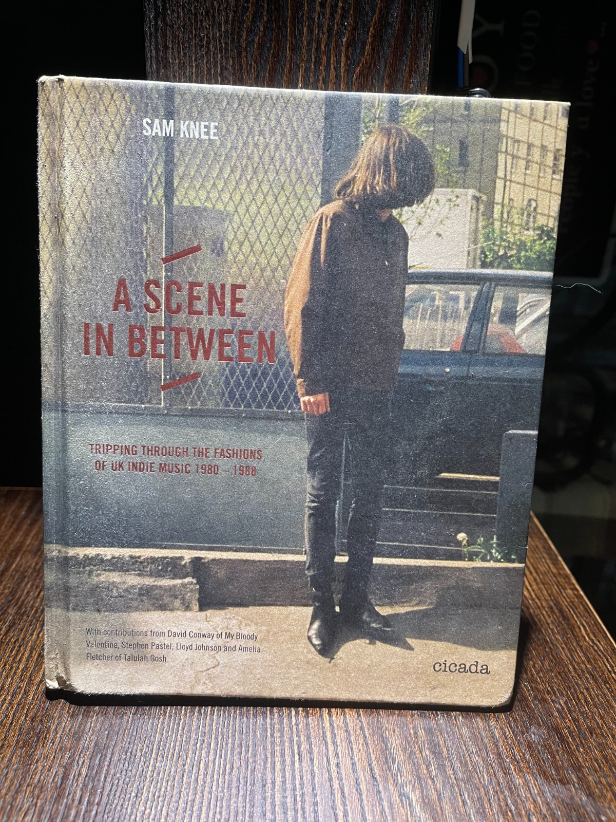 Indie / Shoegaze Book Sam Knee A Scene in Between