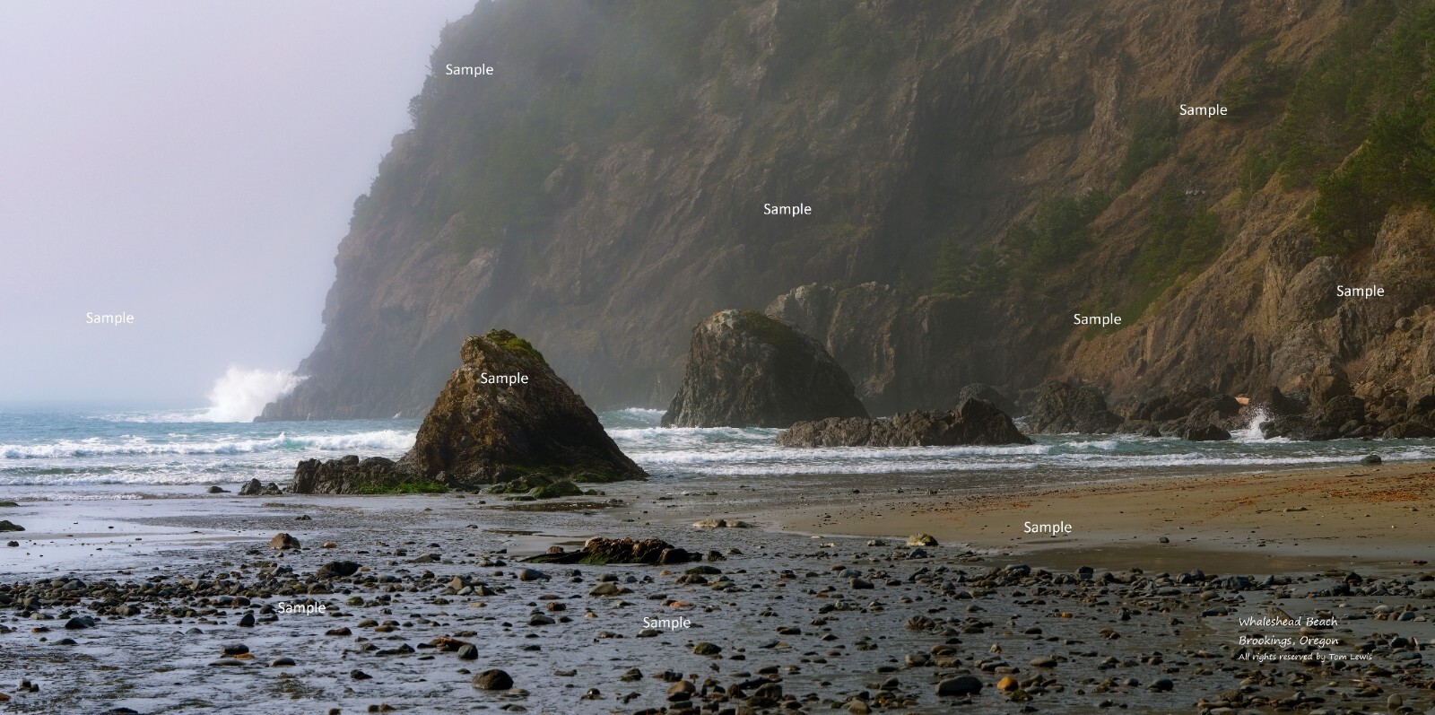 Oregon Coast #26 Whaleshead Beach Brookings Oregon 101 Photo Poster Print OC05