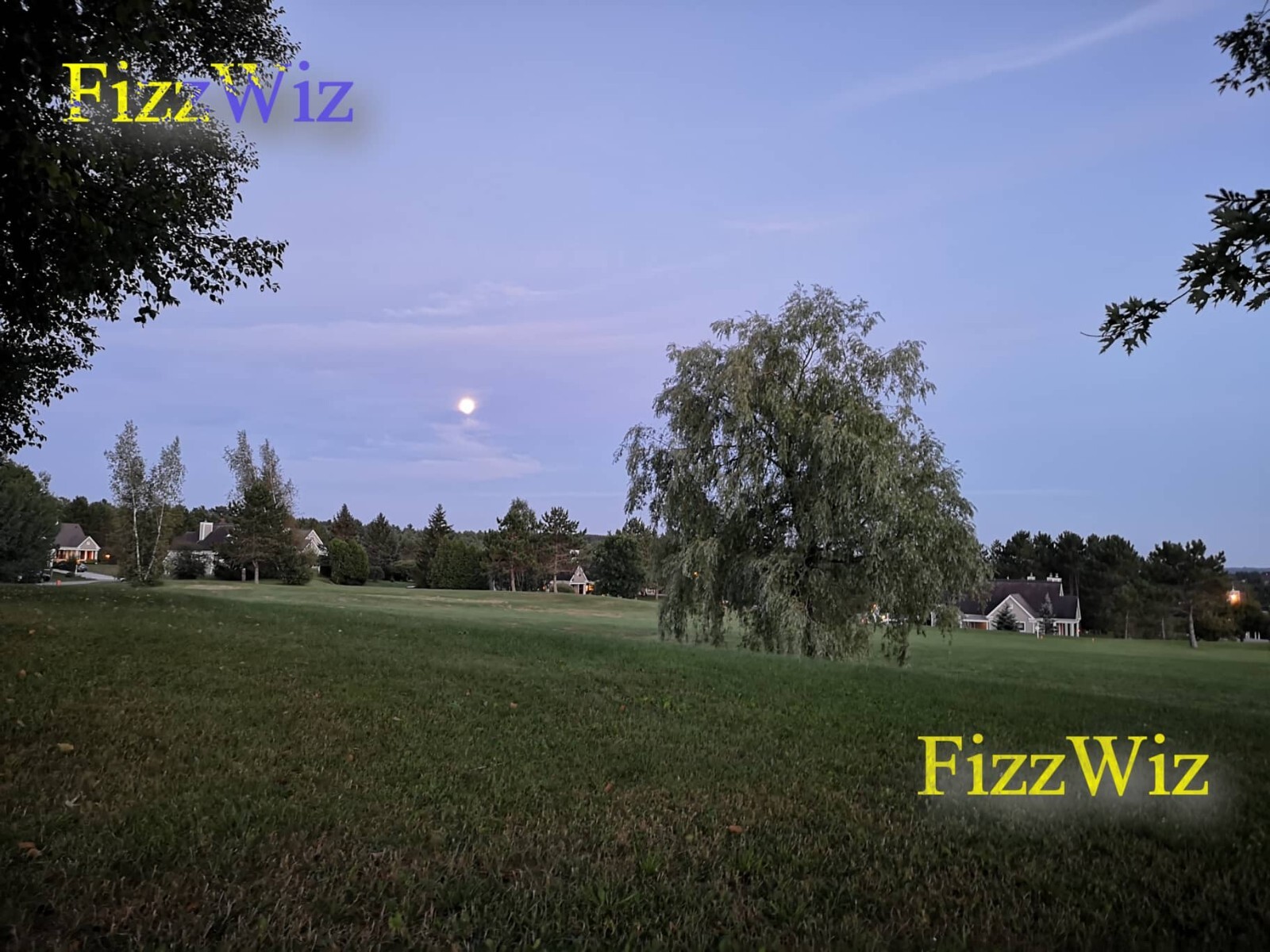 Summer Night Art Digital Image Picture Photo Wallpaper – Instant Delivery..