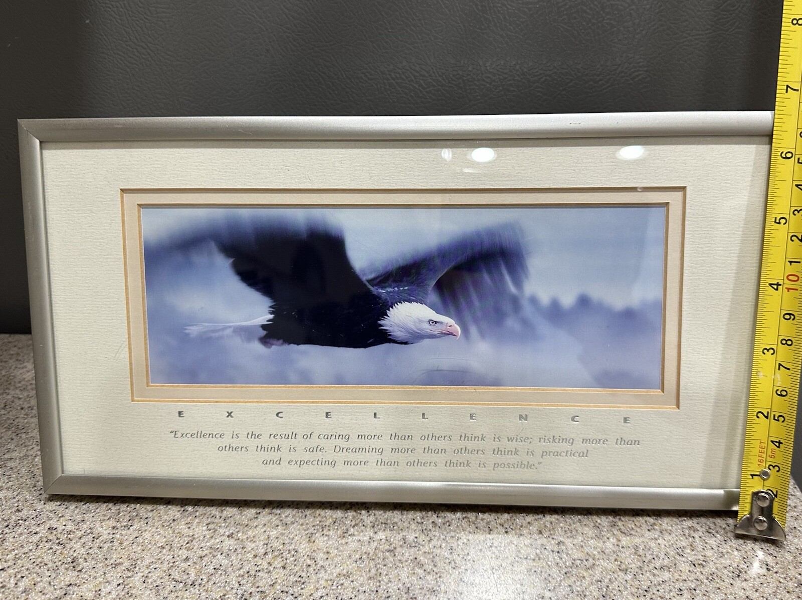 Excellence “King Of The Skies” Eagle Portrait, Photography By Frank Oberle EUC