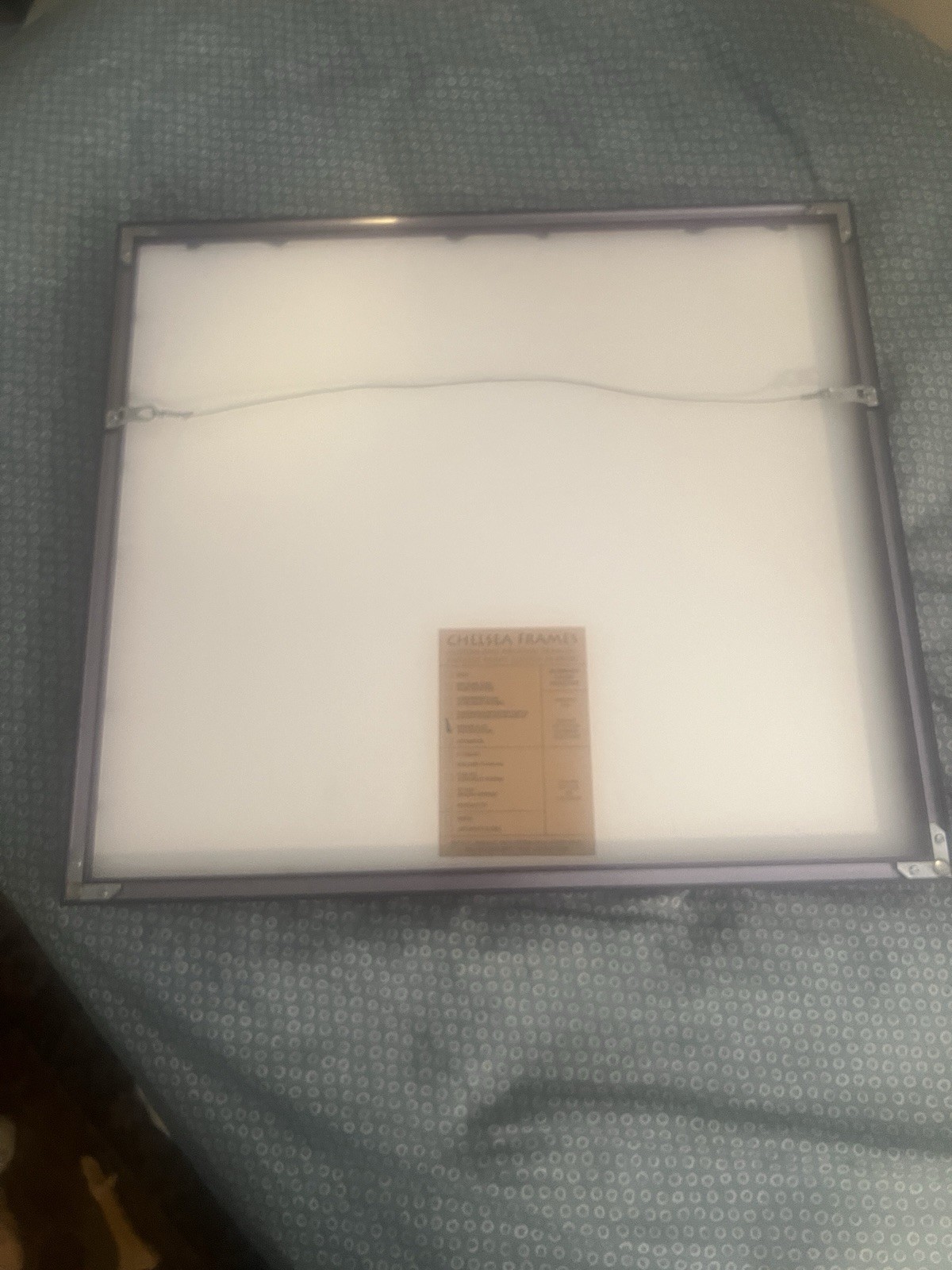 Rare Chelsea Framed Matted Color Butterfly Wing Photo, Nature Landscape art