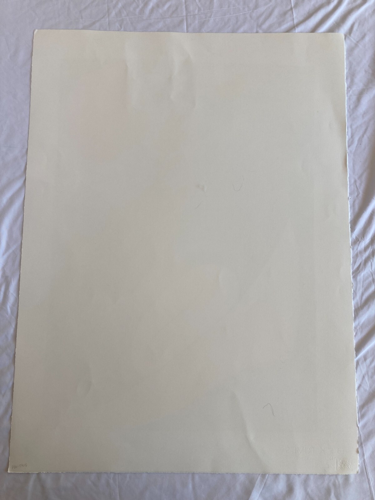WILLIAM T. WILEY Signed DENEB Lithograph 1996 LIMITED EDITION Print Cleveland