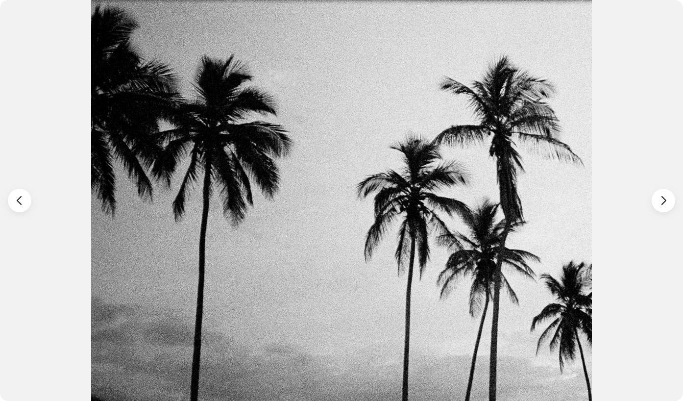Tropicoco Palmas, Cuba, dyptych 16 x 20in Left/Right art photos, Mel Gonz, 2017