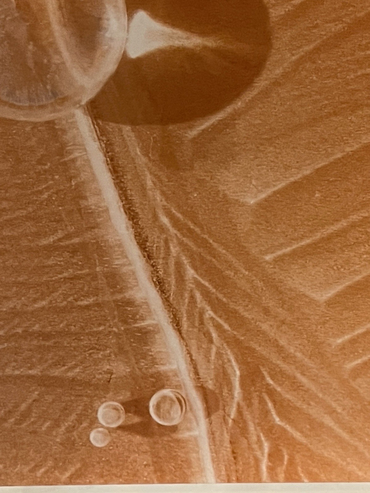 Original Photograph On Metal Sedona,Arizona By Claudia Cooke