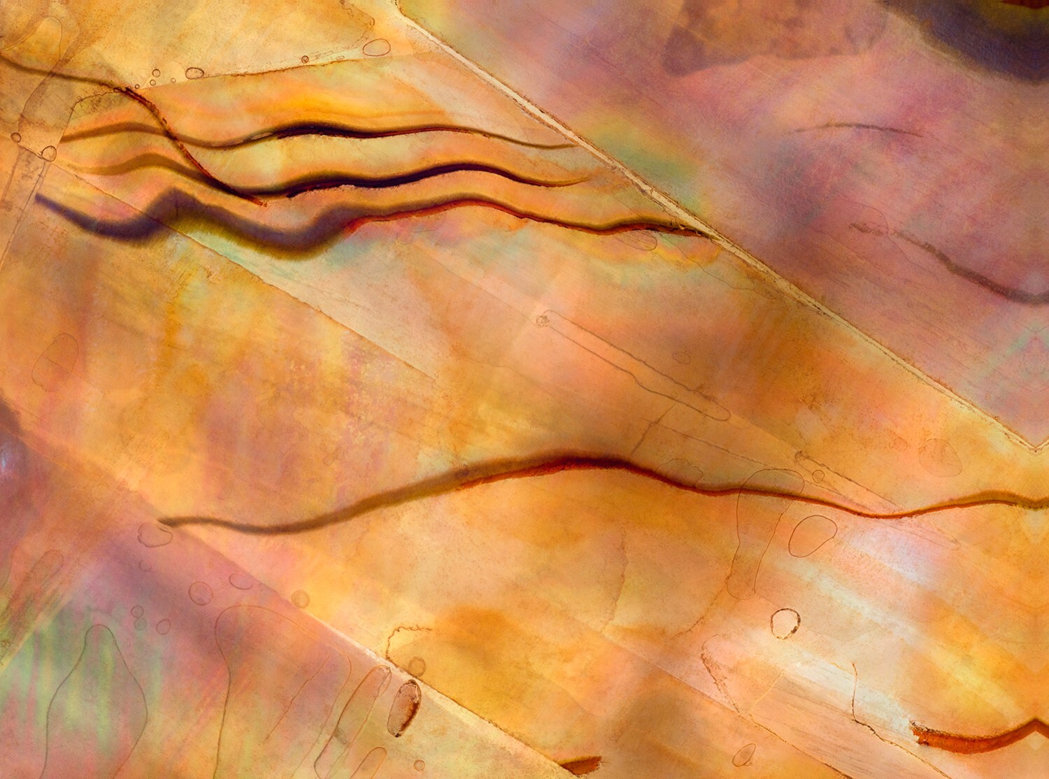 Photographs printed as 18″x24″ gallery-wrap canvases, 1.5″ deep bars, $150