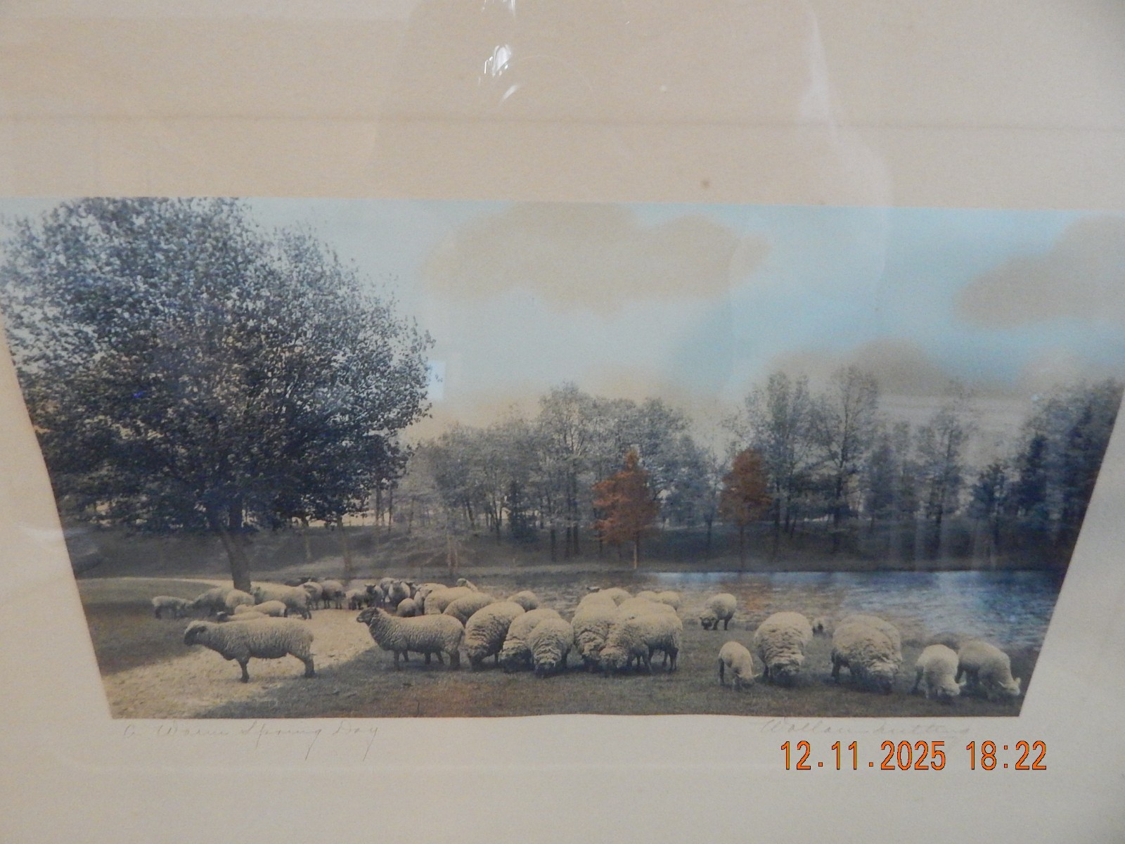 Large Rare Wallace Nutting w/Sheep “Warm Spring Day” Hand Colored Photo