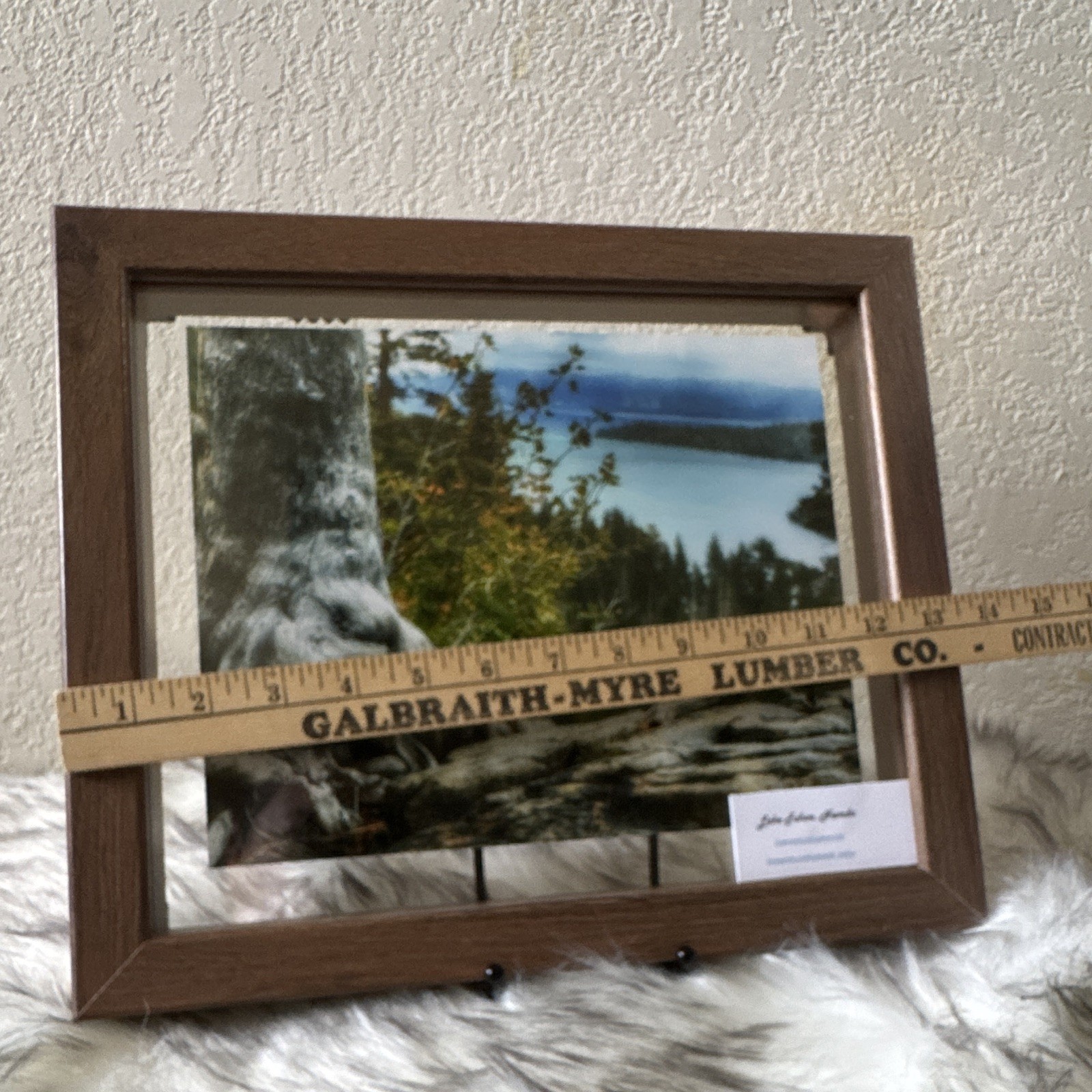 Amanda Eunice “Lake Tahoe, Nevada” Framed Color Landscape Photo Nature