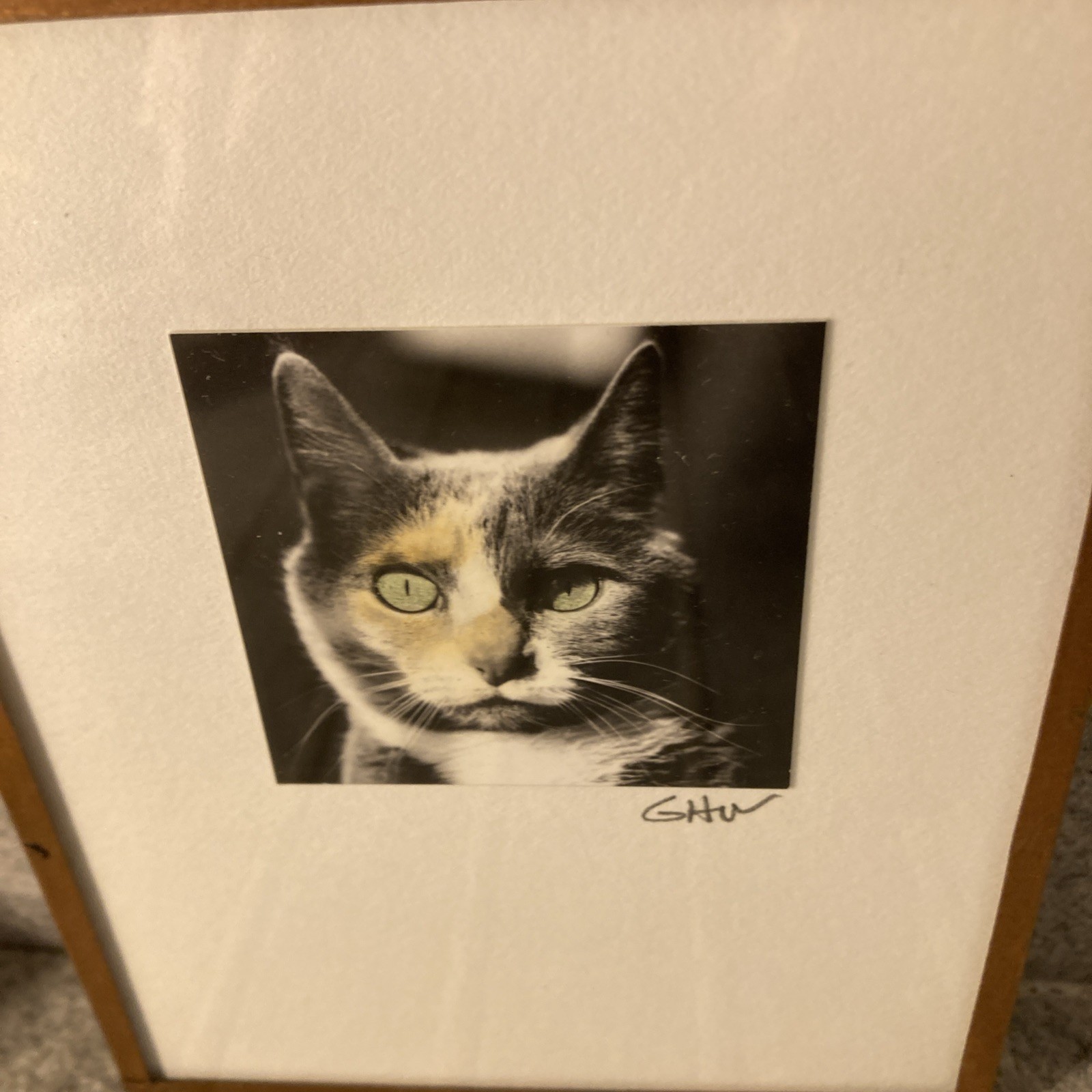 Calico Cat Portrait Soddered Copper Frame Photograph Miniature Artsy Tom Cat