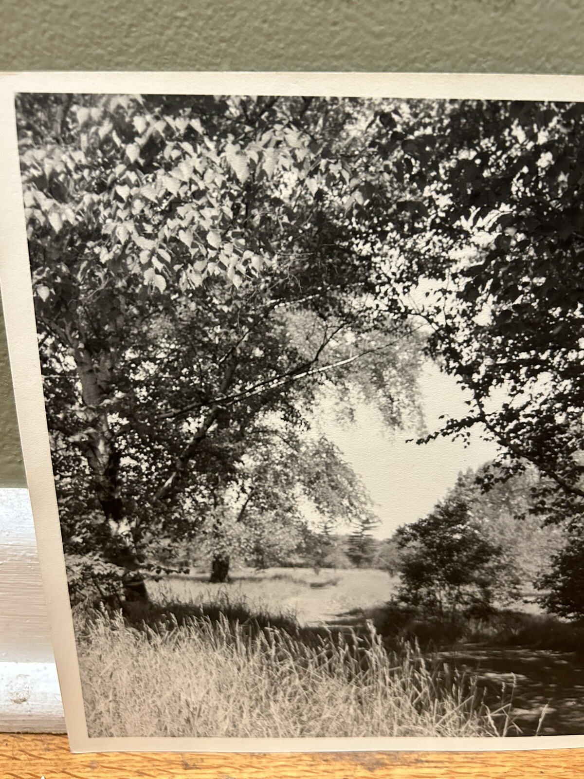 Arthur Gray Standard Oil Photographer Cleveland Ohio Americana Woodland Path Wow