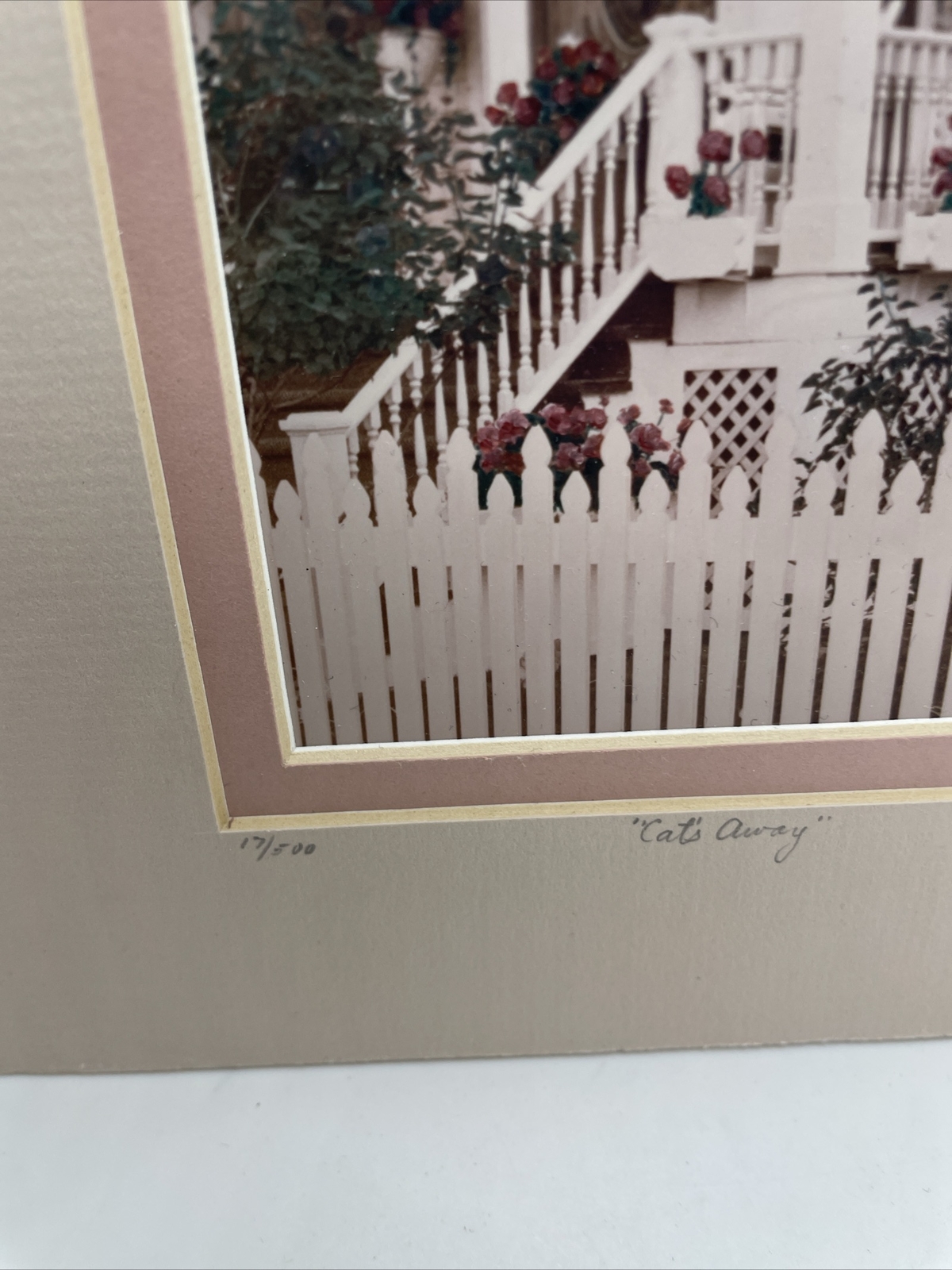 Victorian House Cat’s Away Matted Photo Print SIGNED Marylyn # 17/500 Pink&Roses