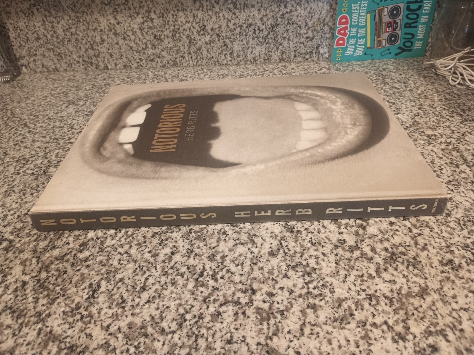 NOTORIOUS Herb Ritts Photo book Photography bulfinch press 1992 W300×H390mm Used