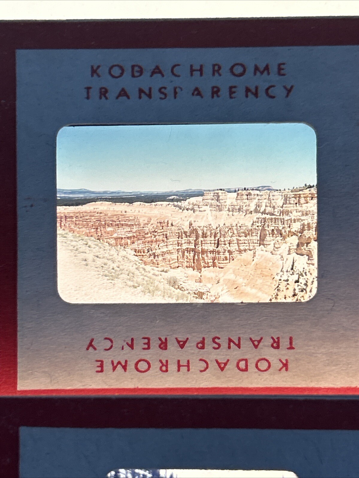 Kodachrome Red Border Lot Of 40 1950’s Camping Trip Flowers 35mm Color Slides