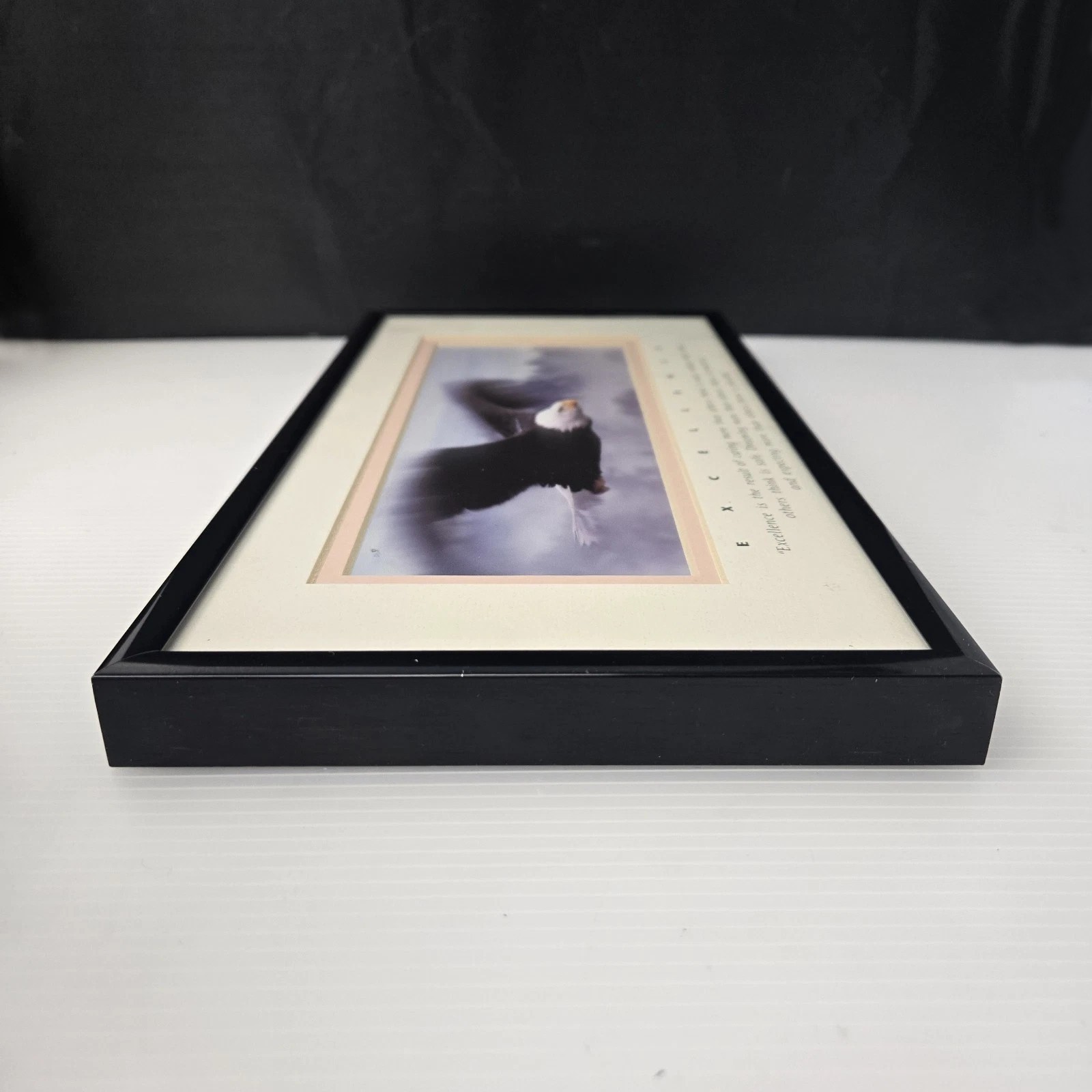 Excellence King Of The Skies Eagle Photo Art Framed Frank Oberle Photography