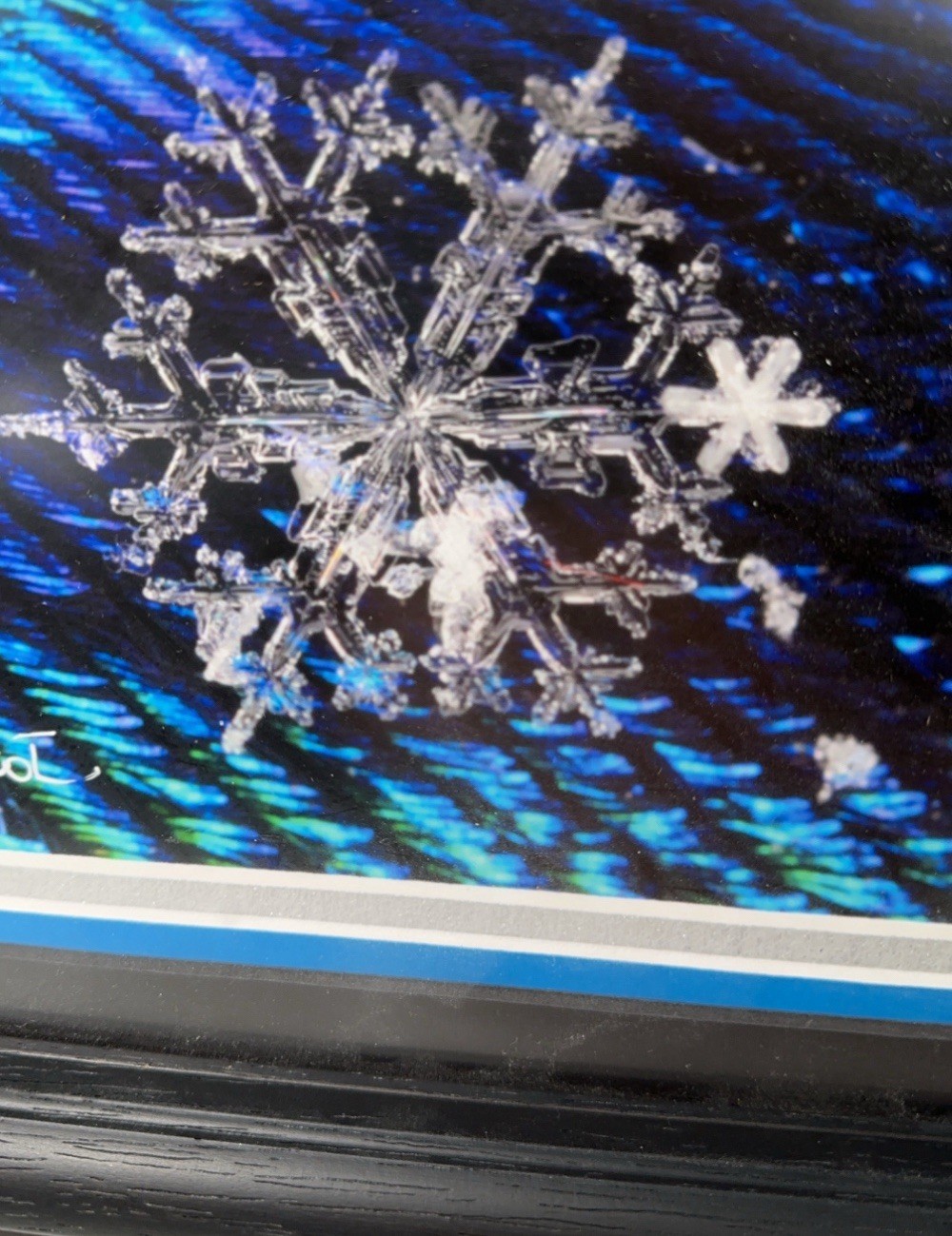 Karla Booth Macro Photography Snowflakes On Peacock Feathers Signed Art Snow COA