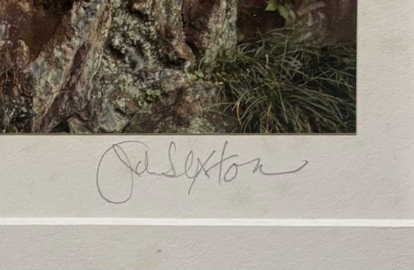 RARE Original 1983 JOHN SEXTON ‘Stone Markers, Narita JAPAN’ Signed COLOR PHOTO
