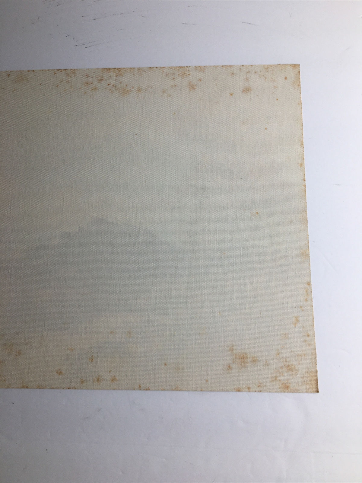 Vintage MCM Art Treasures Inc John Loo Nature Lithograph on Canvas Unframed G3