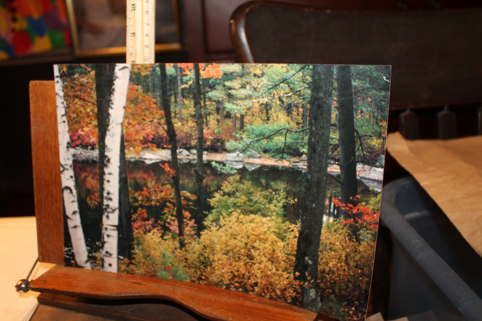 Vintage 8×12 Photo W. Beebe East Tennessee Fall Mountain Lake
