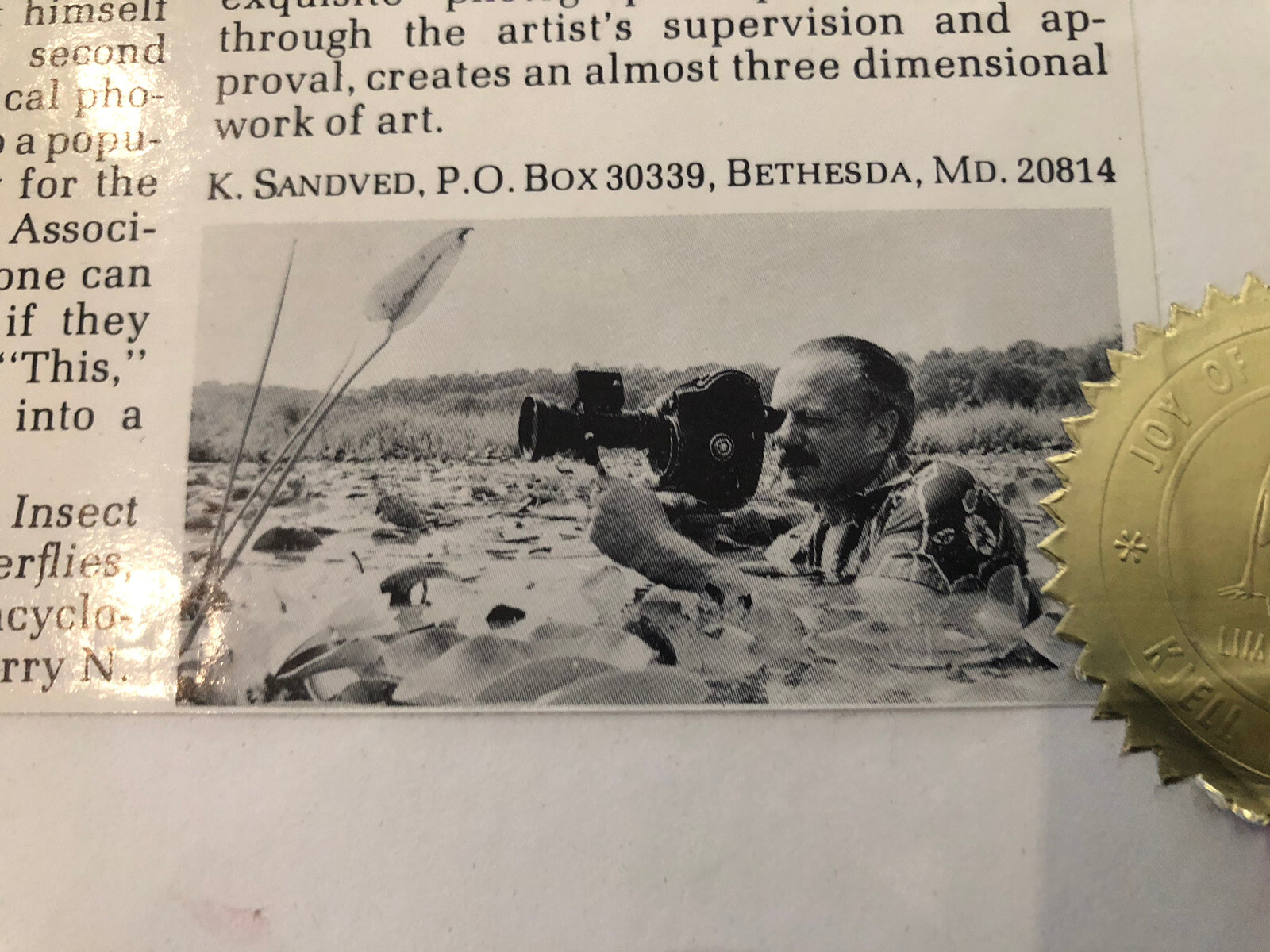 ORIGINAL Kjell B. Sandved NAUTILUS SHELL ART PHOTO Hand Signed L.E. Triple Mat
