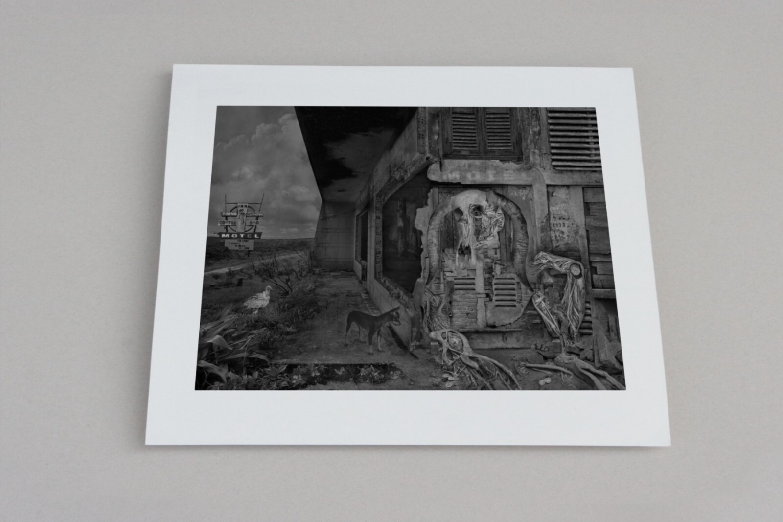 Fine Art B+W Photography FOLIO 6 Signed Prints on a Dark Art Theme Dominic Rouse
