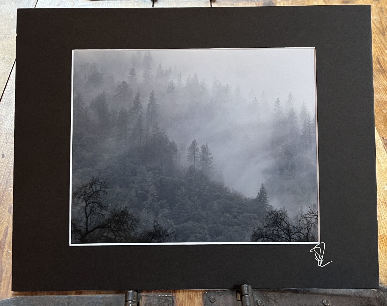 Rain, Mist and Trees, Shasta Lake, Ca – Matted Fine Art Photographic Print