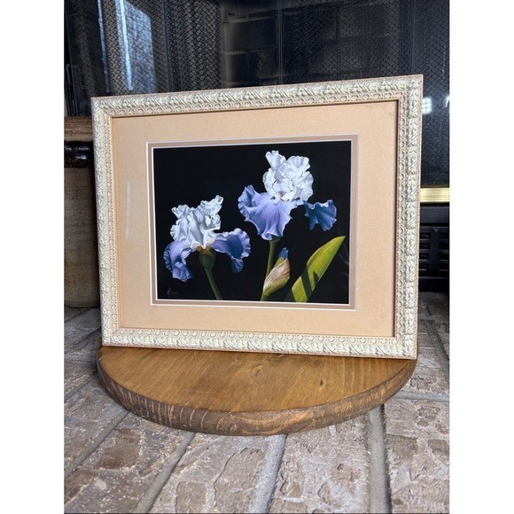 A. Bush Purple Irises Floral Art Print Photography Framed 15.5″ EUC GIFT Decor