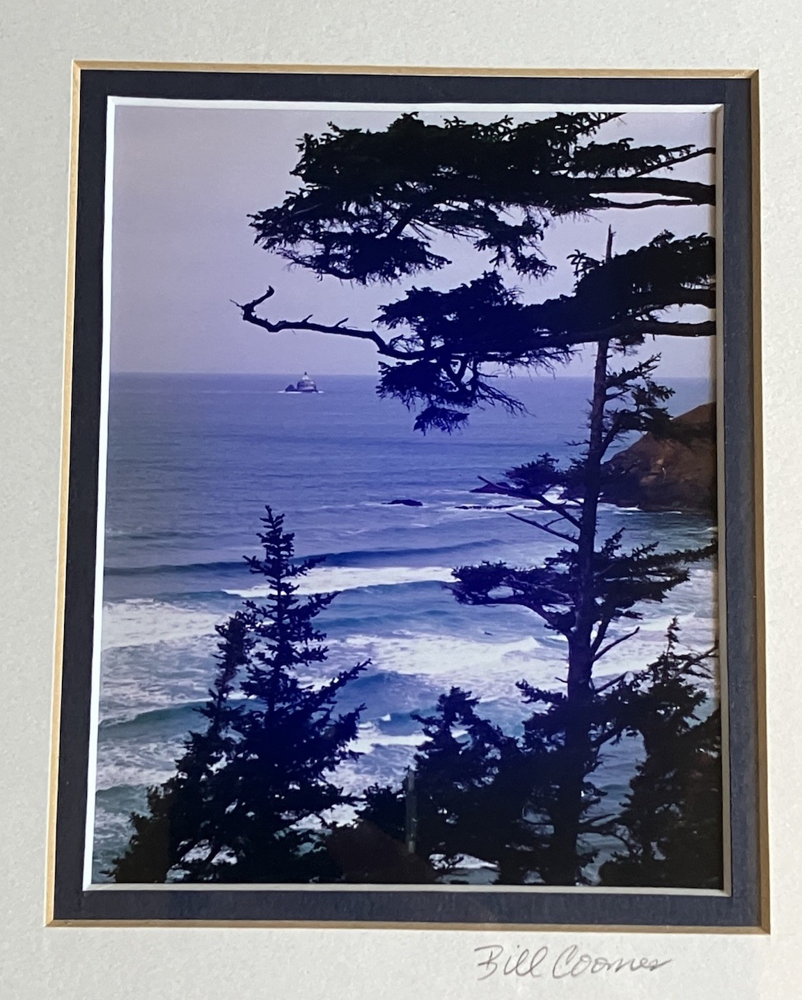 Oregon Coastal Photograph Ecola State Park Framed/ Matted Bill Coons 10 X 8 Inch