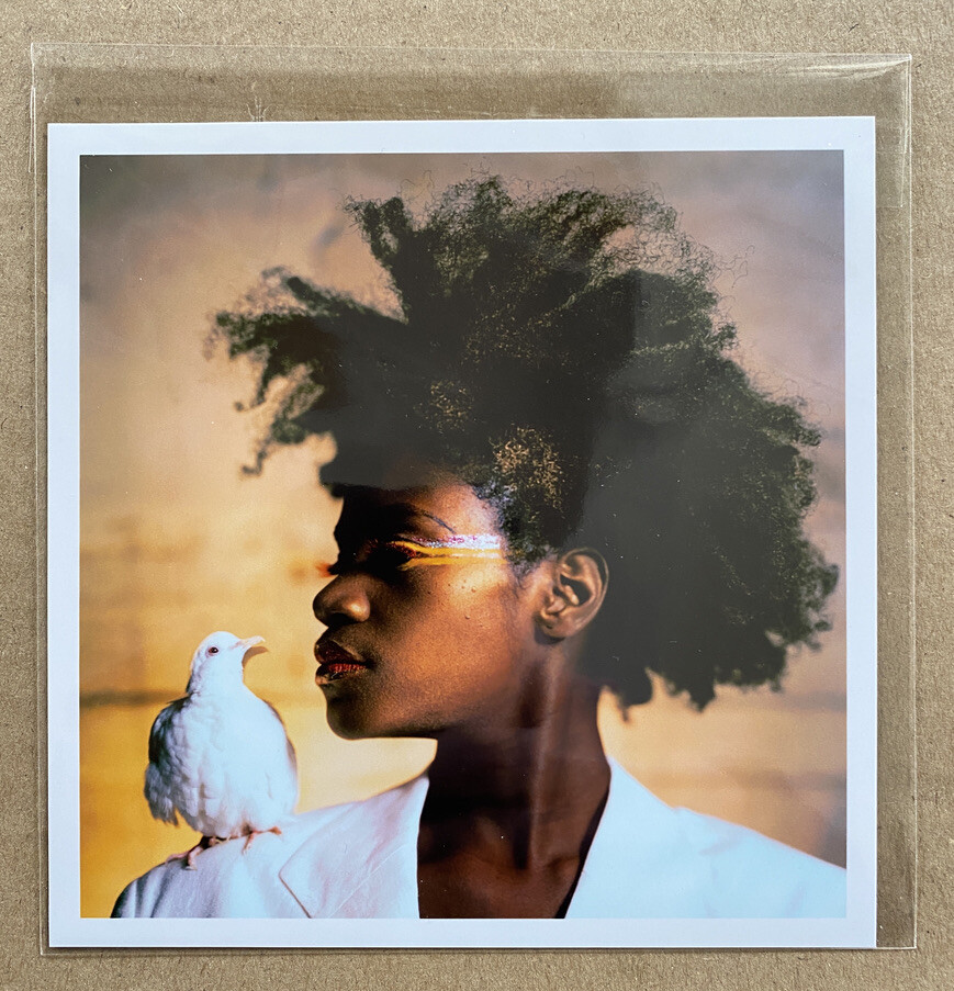 LYLE ASHTON HARRIS signed limited ed 2021 photograph 6×6 Magnum Square Aperture