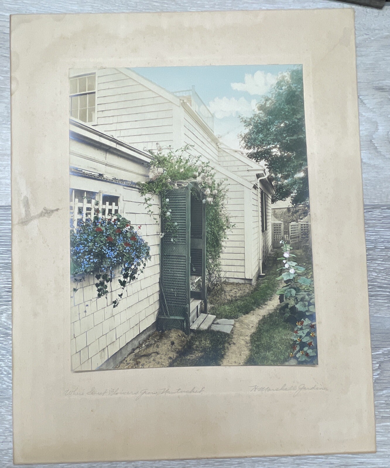 H. Marshall Gardiner Nantucket, MA Hand Colored Photo Print Signed Sweet Flower