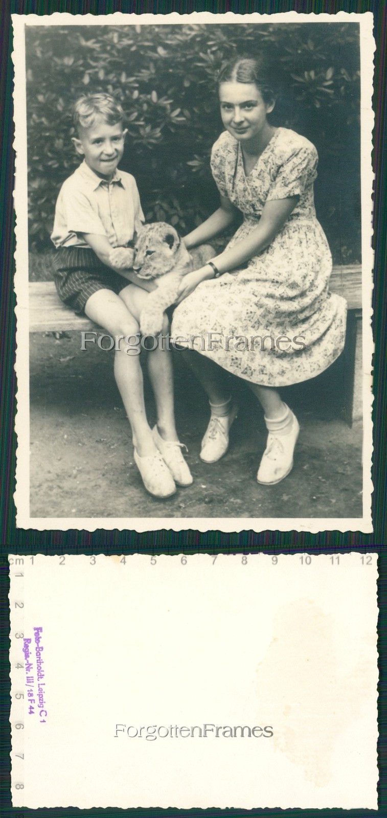 Photo braids girl with lion baby zoo Berlin cute pigtail girl Lion cub photo
