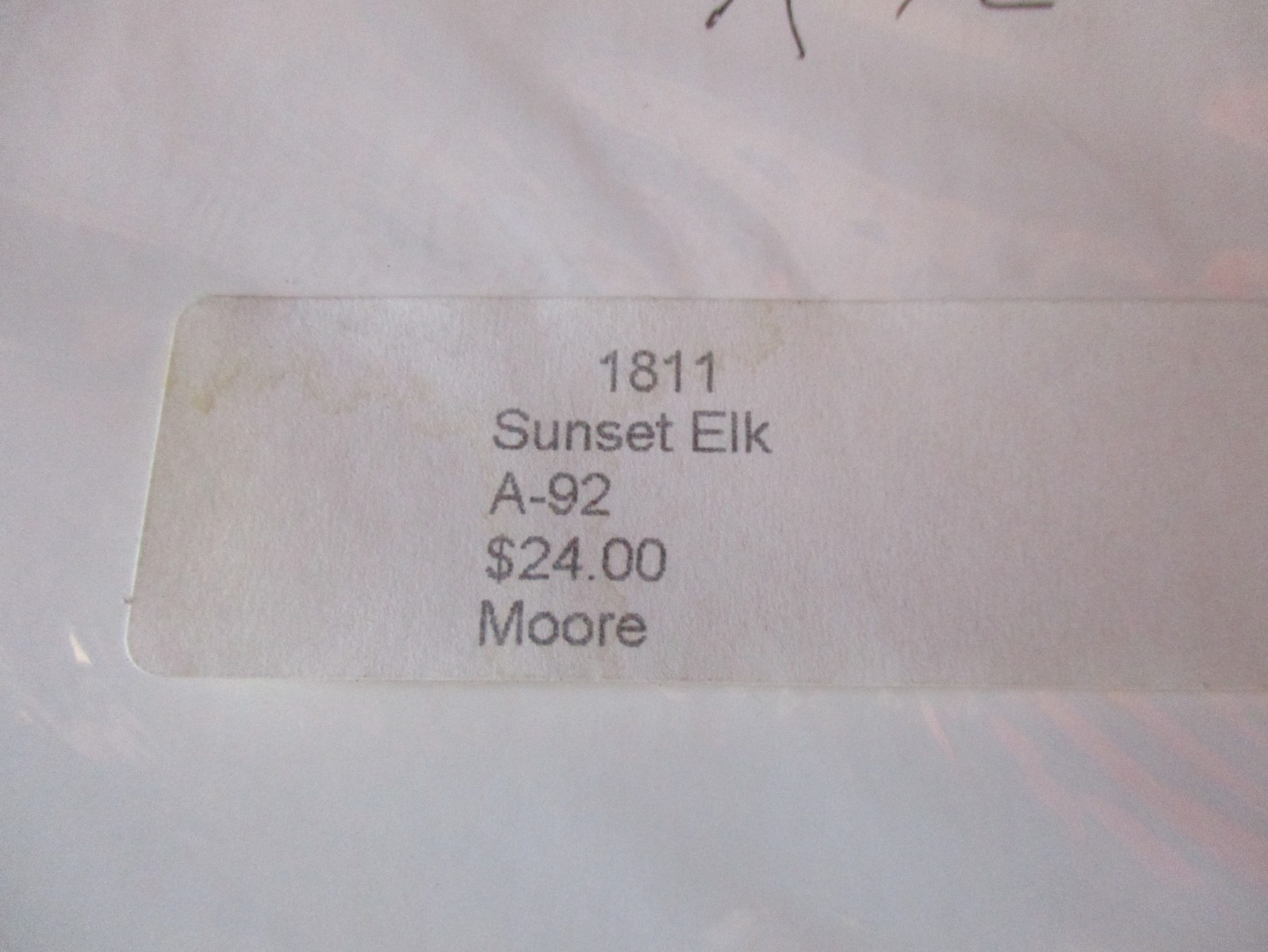 11″ x 14″ Matted Original Nature Photo Titled: “Sunset Elk” On Semi-Gloss Paper