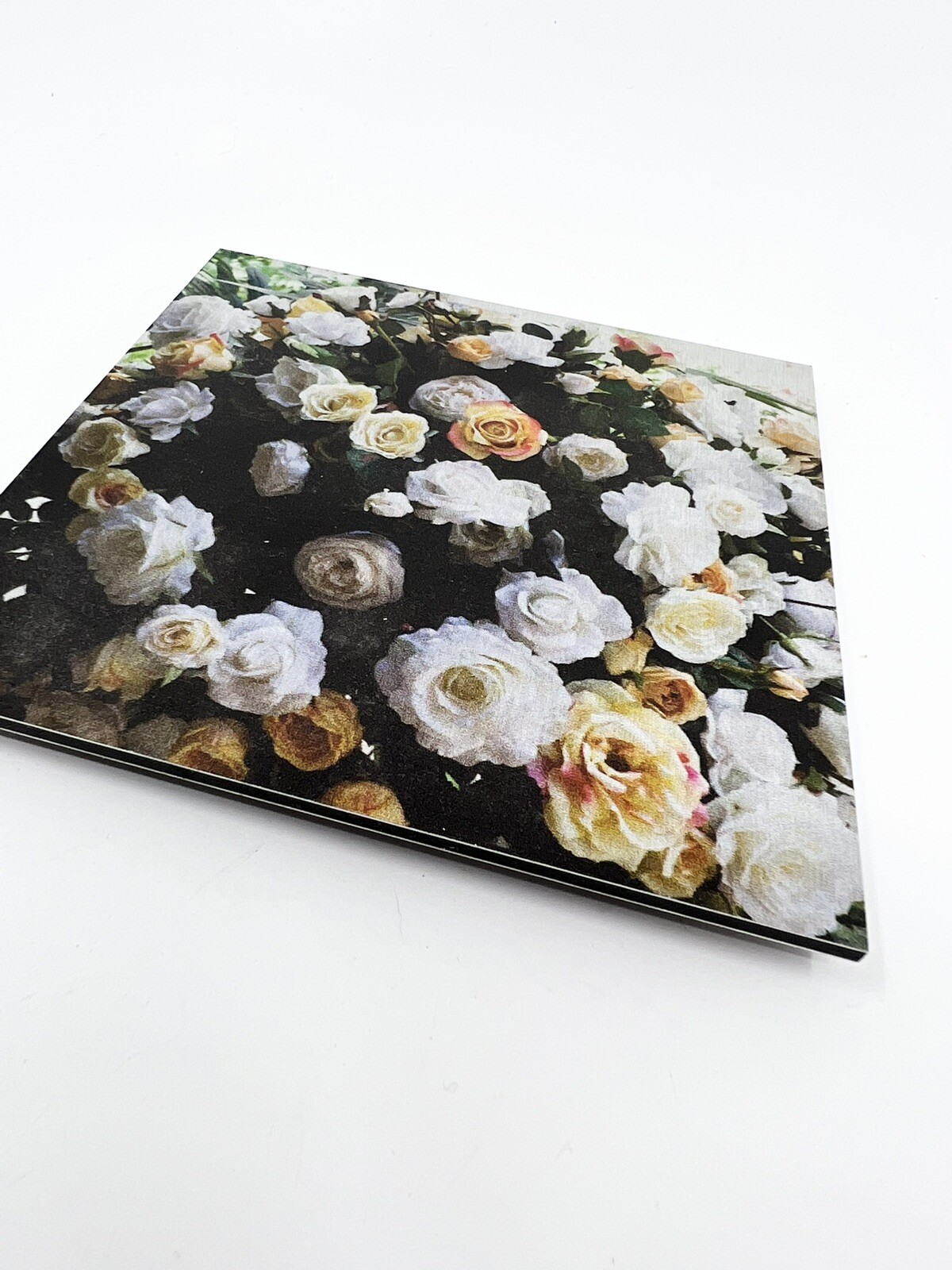 Nancy Reid Carr Art & Photography Metal Photo Print Garden Roses Signed Floating