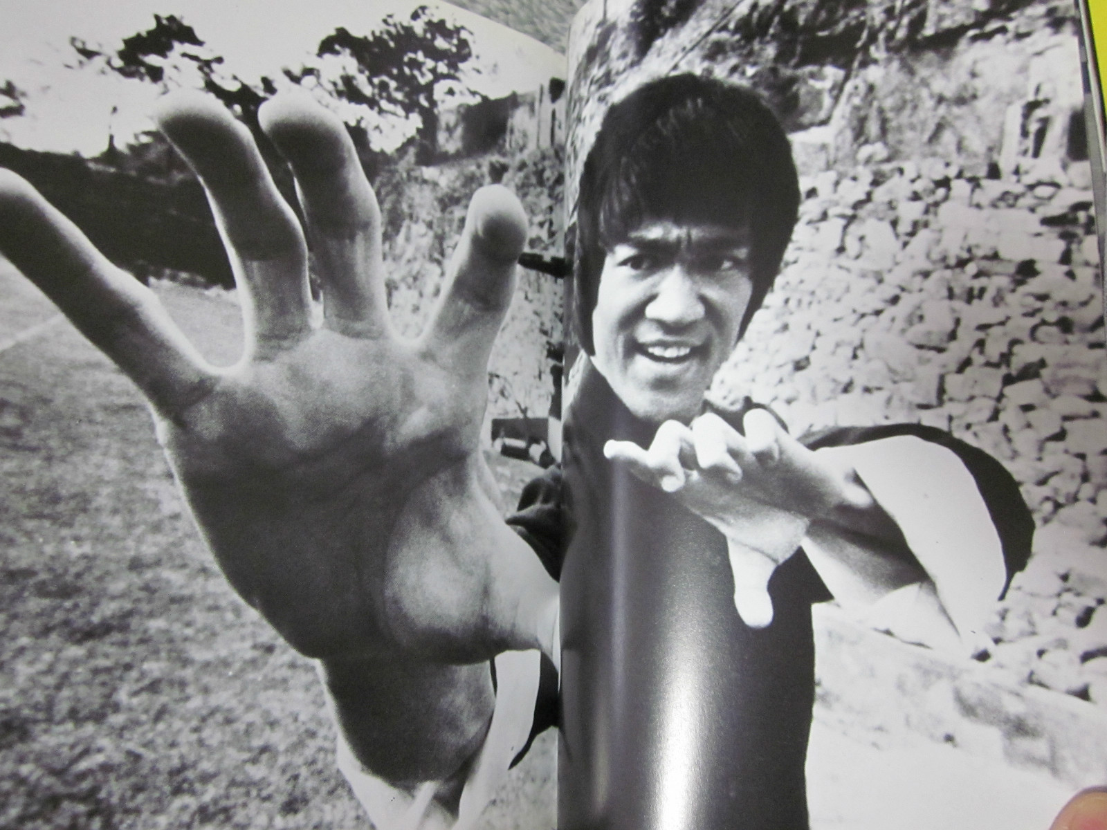 BRUCE LEE BOOK DRAGON FOREVER 1974 JAPAN by Koichi Hino 1st. edition