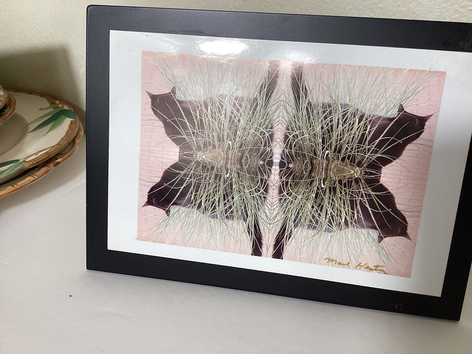 Cat Photography refleted Cats In Grass On Metal Easel Stand 5” X 7”