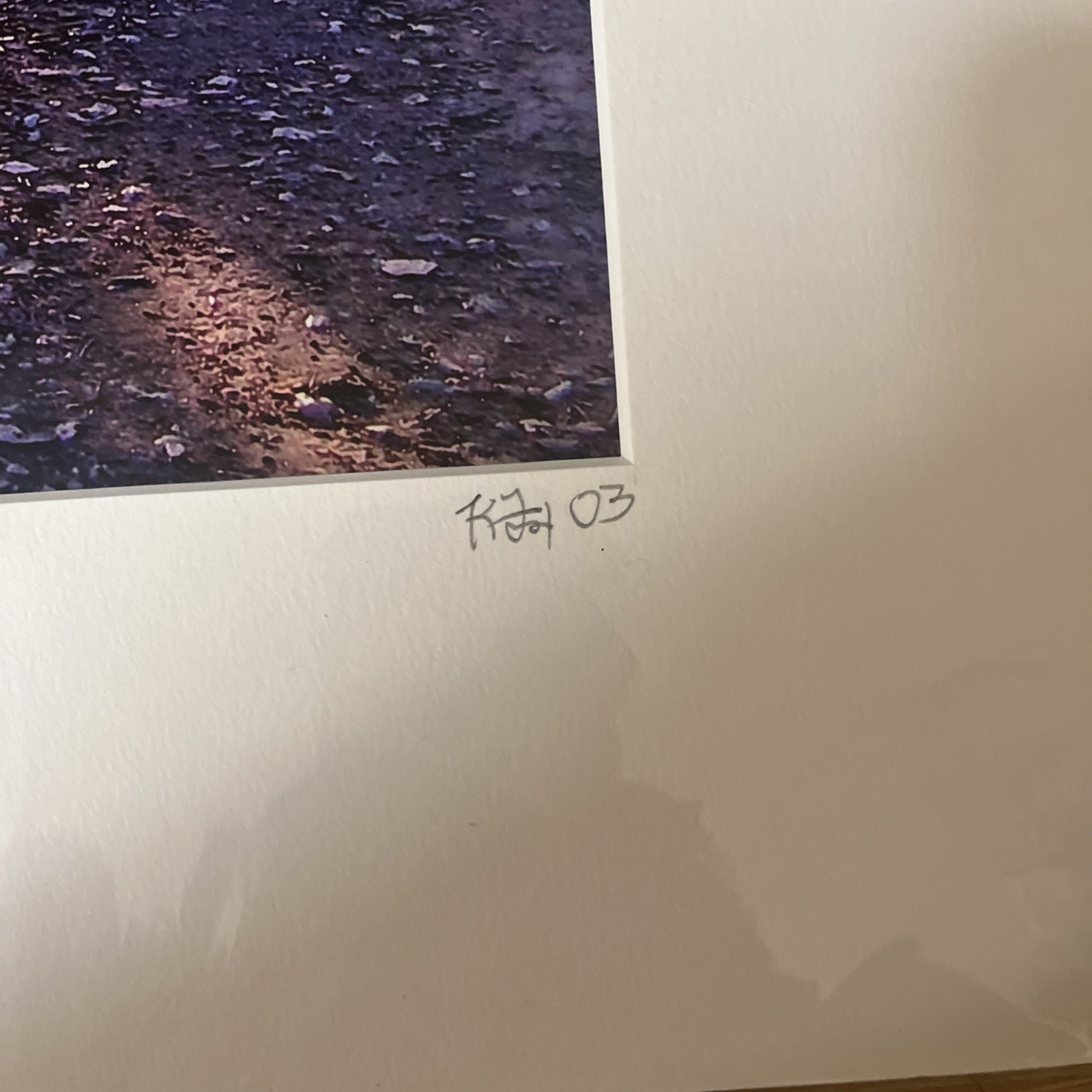 Kevin Fox Lake Chabot Rays Trees Trail Matted Photo 16×20 Signed 2003