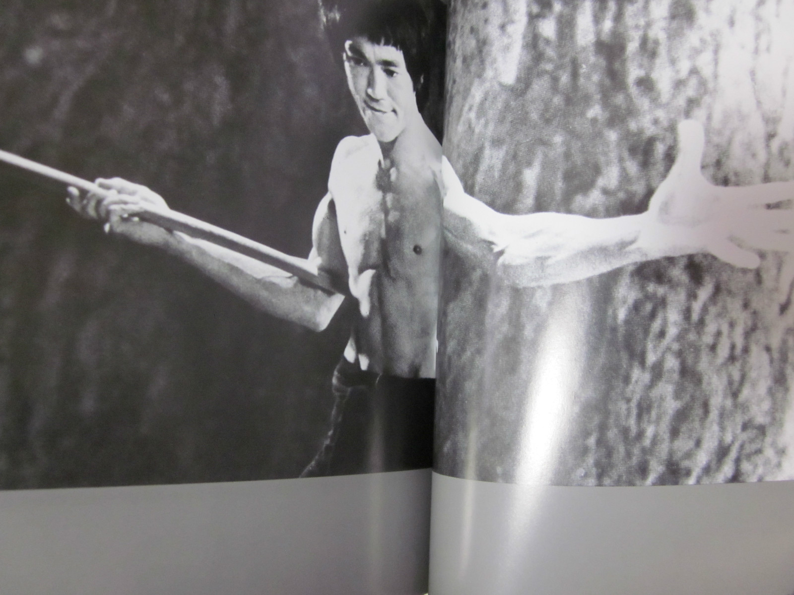 BRUCE LEE BOOK DRAGON FOREVER 1974 JAPAN by Koichi Hino 1st. edition