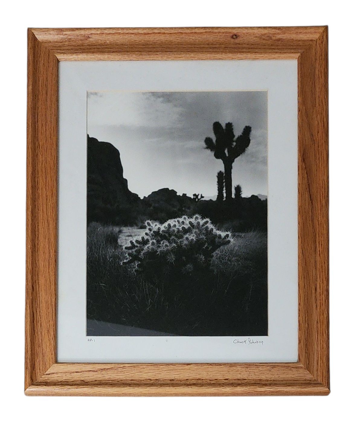 Chuck Johnson Signed Black & White Photograph “Joshua Tree Desert Scene” Framed