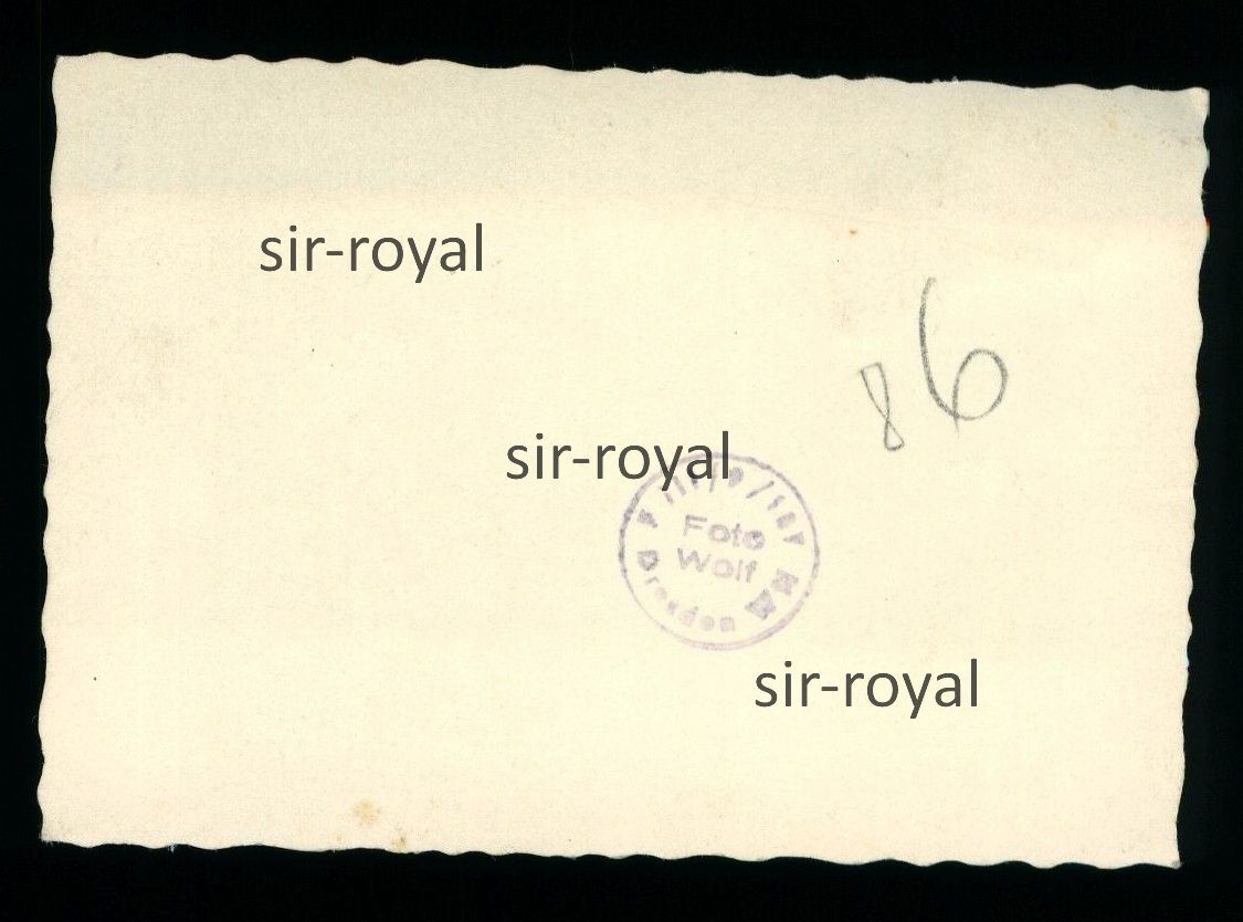 Mann mit Royal Standard Akkordeon – DDR 1960er 1970er – Dresden – Foto 6x9cm