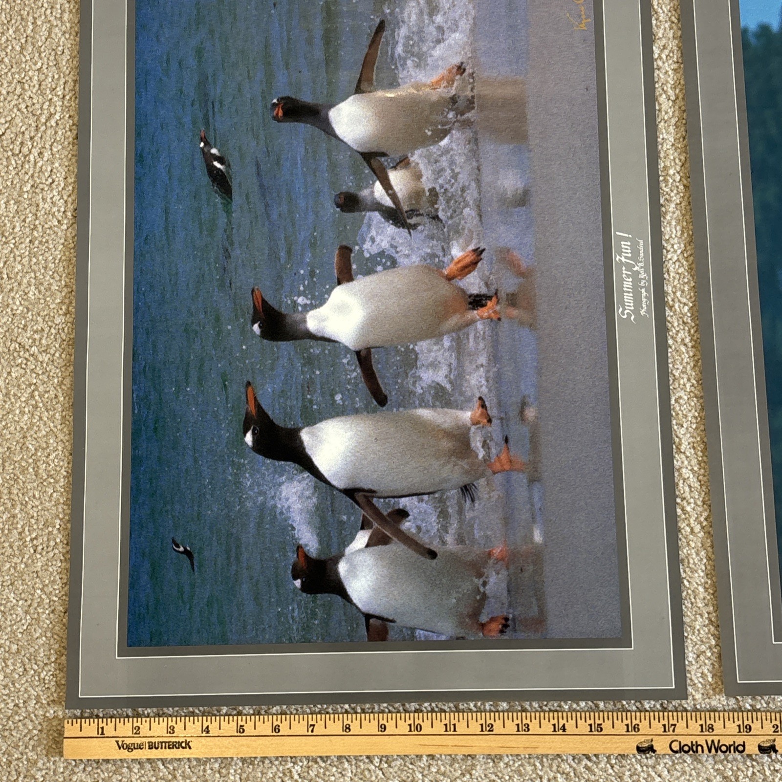 Lot Of 3 Kjell B Sandved Photograph Posters Bald Eagle Wild Horses Penguins