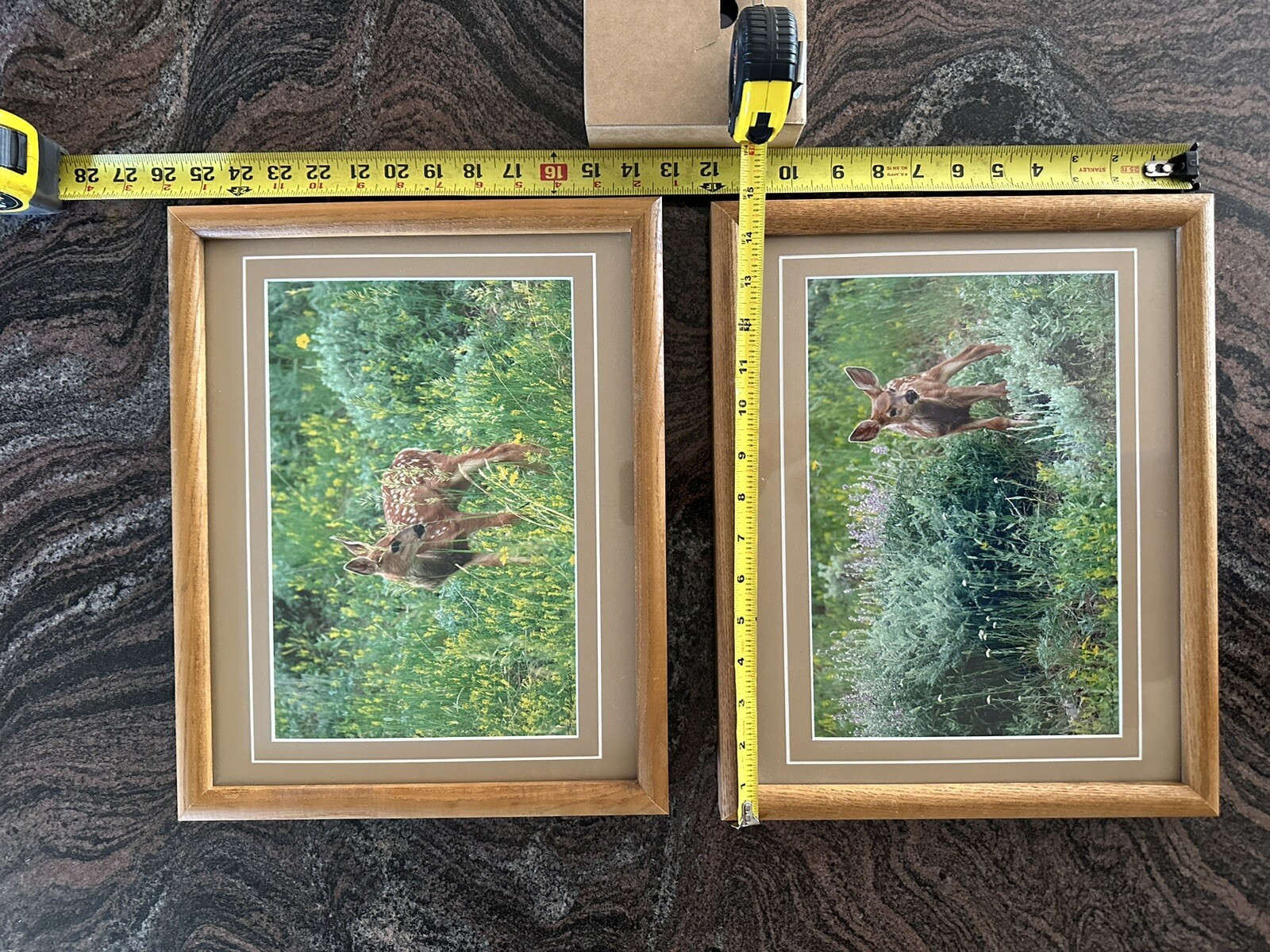 Framed Twin Mule Deer Fawn Wildlife Photography By J.R. Hunter (Signed)