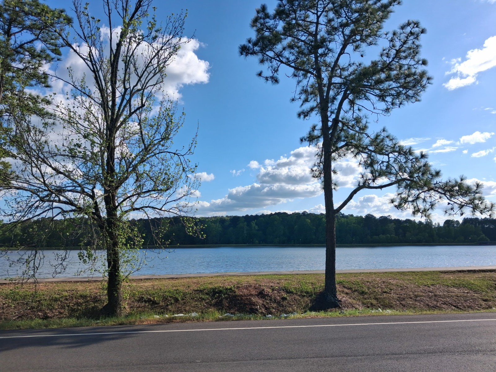 Color Sunset Landscape Photograph – Road by Lake With Trees & Sky