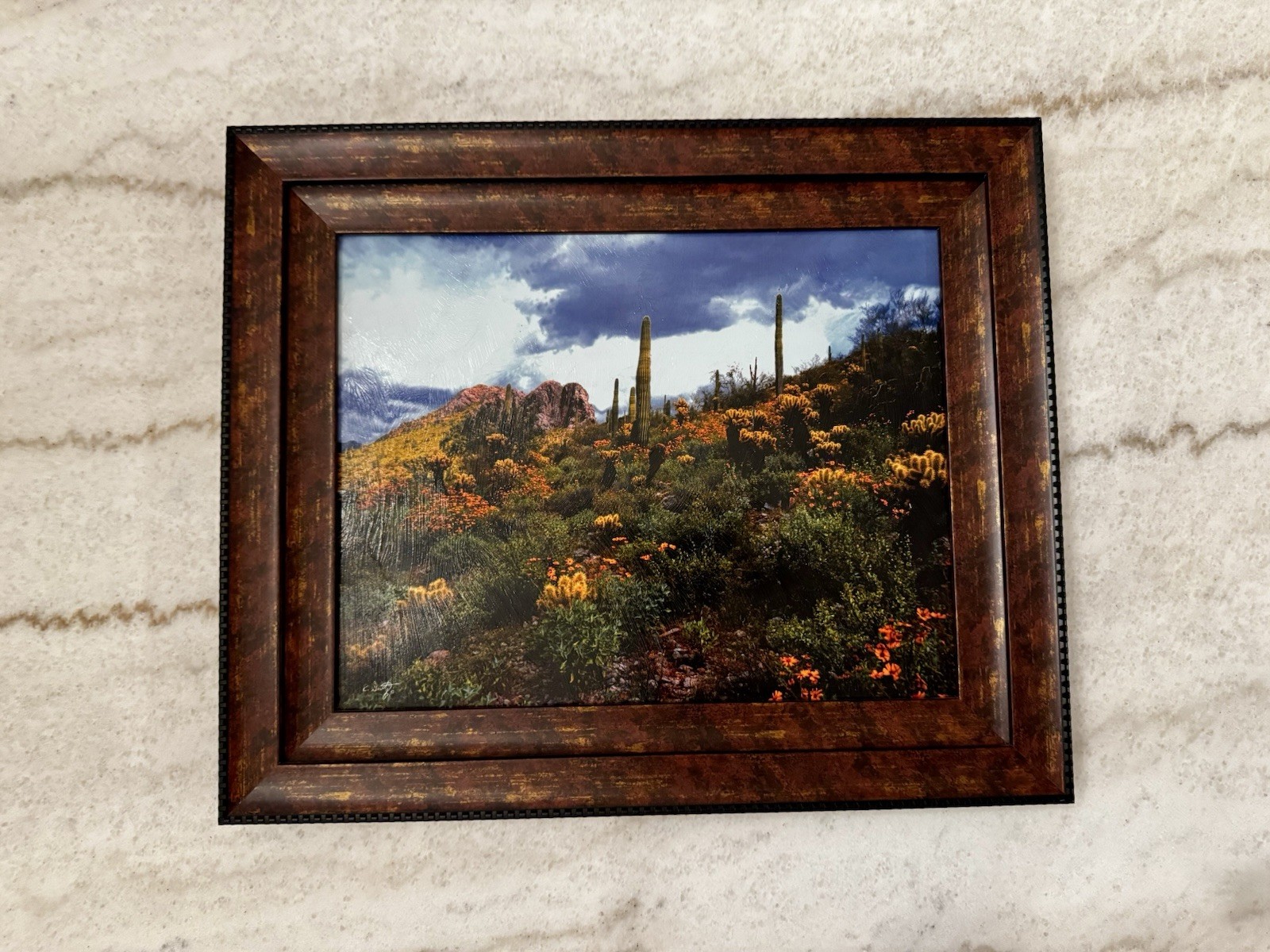 Arizona desert art work Primo Vision by Robert Gertz 18” x 15”.