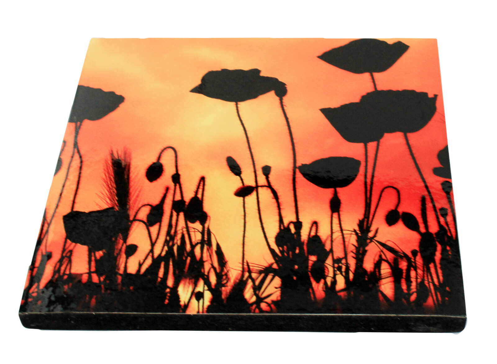 Original photograph of POPPIES Block Mounted and laminated 28 x 29 cm by Senka