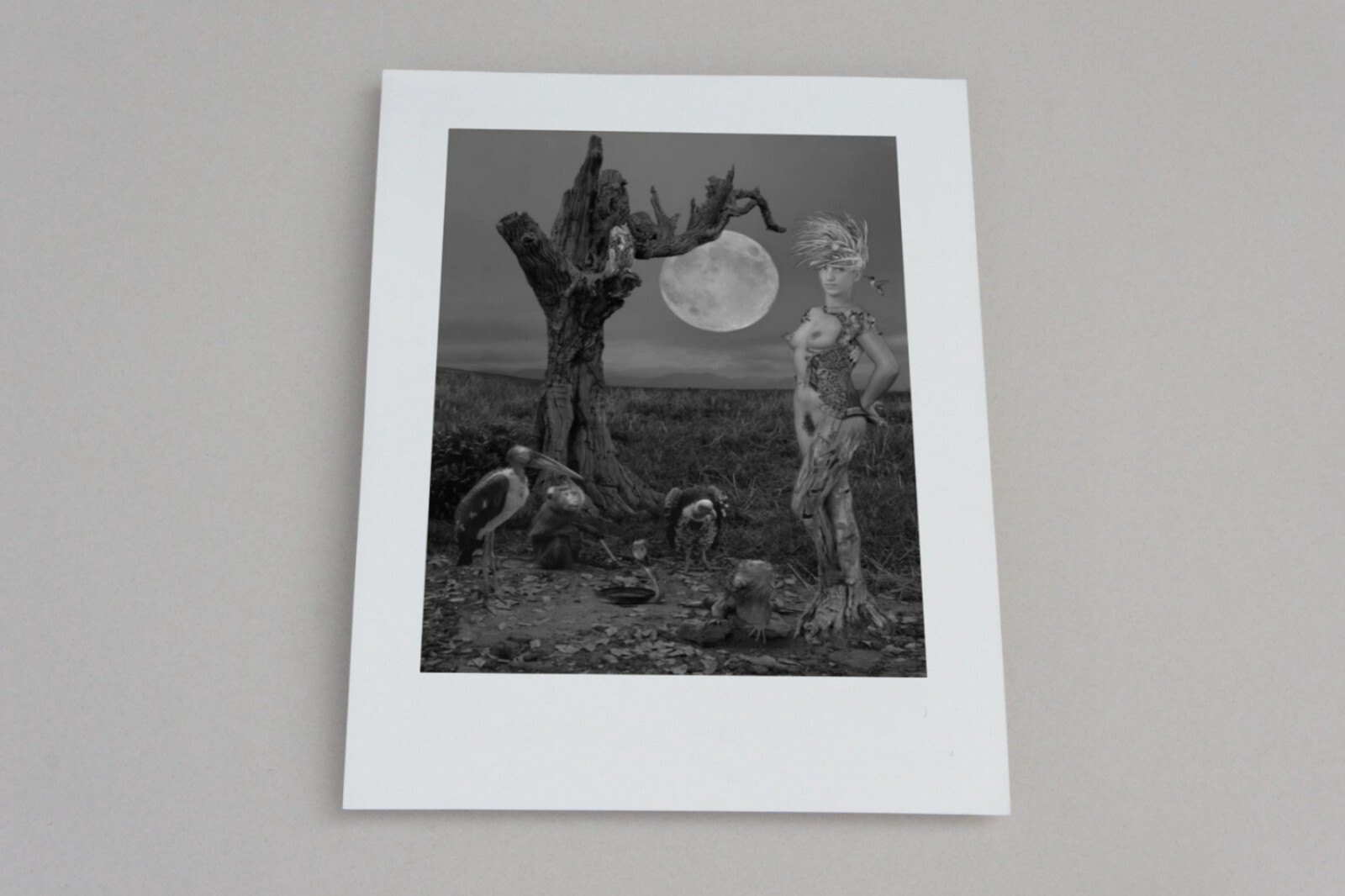 Fine Art B+W Photography FOLIO 6 Signed Prints on a Dark Art Theme Dominic Rouse